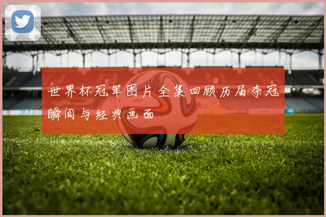 世界杯冠军图片全集回顾历届夺冠瞬间与经典画面