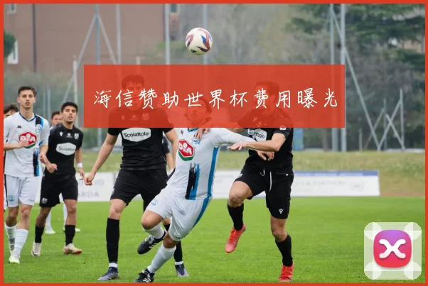 海信赞助世界杯费用曝光