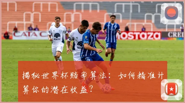 揭秘世界杯赔率算法：如何精准计算你的潜在收益？