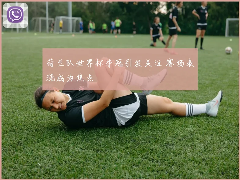 荷兰队世界杯夺冠引发关注 赛场表现成为焦点