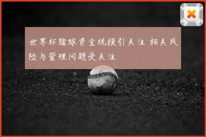 世界杯赌球资金规模引关注 相关风险与管理问题受关注