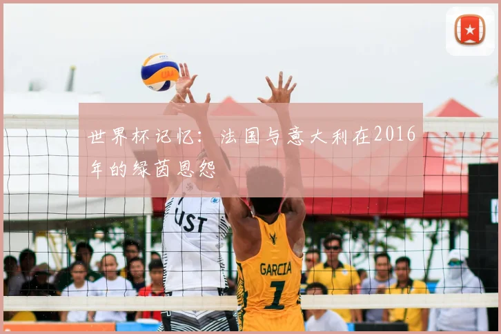 世界杯记忆：法国与意大利在2016年的绿茵恩怨