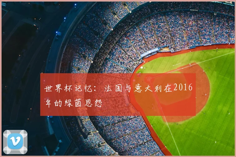 世界杯记忆：法国与意大利在2016年的绿茵恩怨