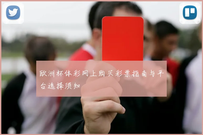 欧洲杯体彩网上购买彩票指南与平台选择须知