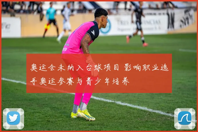 奥运会未纳入台球项目 影响职业选手奥运参赛与青少年培养